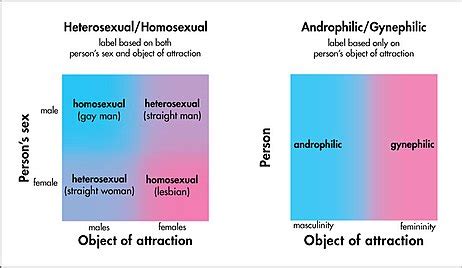 Androphilia and gynephilia